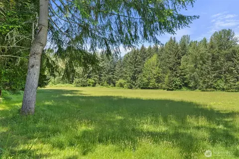 Other - 155 Bonell Rd, Randle, WA 98377 photo 2 of 12