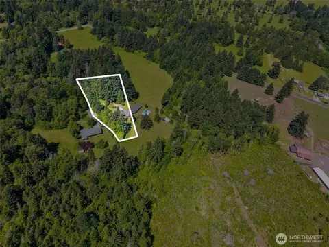 View/Area - 155 Bonell Rd, Randle, WA 98377 photo 3 of 3