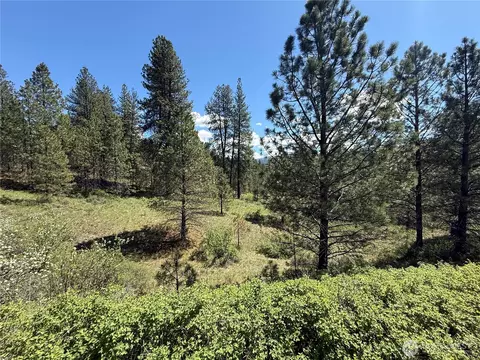 0 Tbd Fir Ln, Curlew, WA 99118