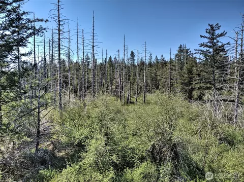 1161 NE Toonerville Dr, Belfair, WA 98528