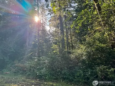 12408 93rd St, Anderson Island, WA 98303