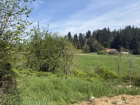 0 Roswell Rd, Centralia, WA 98531