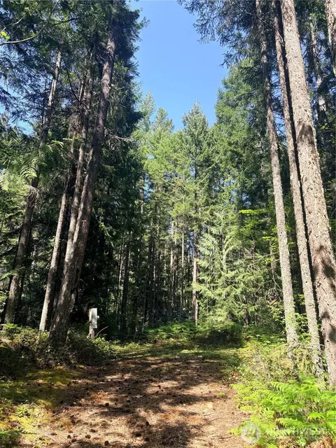 30 N Skokomish Dr, Hoodsport, WA 98548