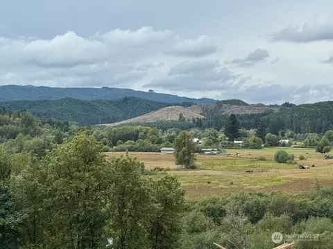 0 Garrard Creek Rd, Oakville, WA 98568
