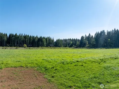 0 Mcglaughlin Rd #3, Winlock, WA 98596 photo 12