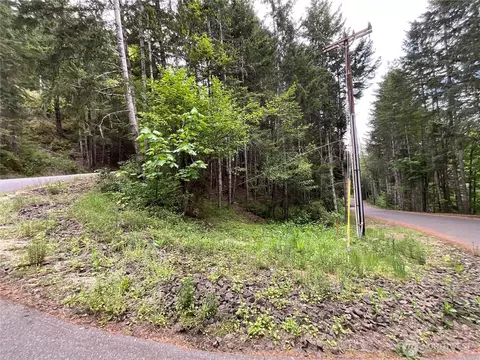 1 N Colony Surf Dr, Lilliwaup, WA 98555