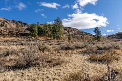 Other - 97 Thurlow Rd, Twisp, WA 98856 photo 10 of 13