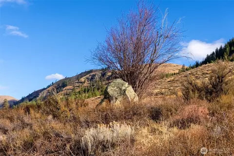 Other - 97 Thurlow Rd, Twisp, WA 98856 photo 11 of 13