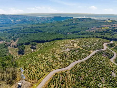 0 Lot 1 Mt Brynion Rd, Kelso, WA 98632