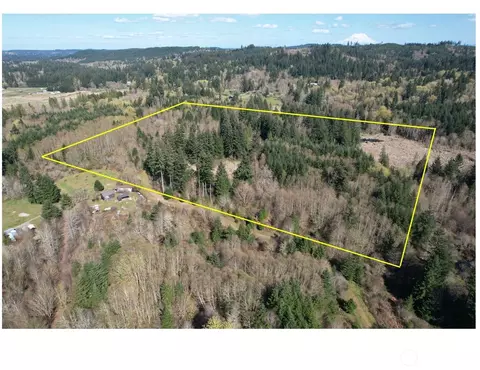 0 40 Acres 143rd Ave SE, Tenino, WA 98589