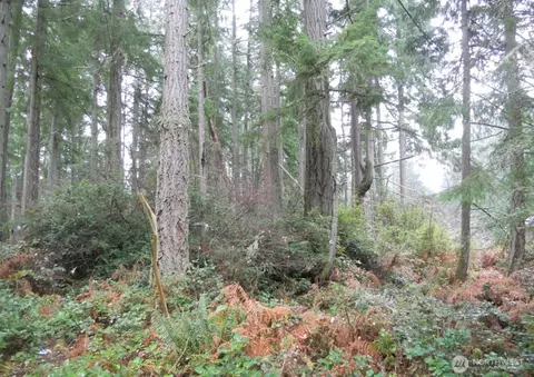 10315 107th Avenue Ct, Anderson Island, WA 98303