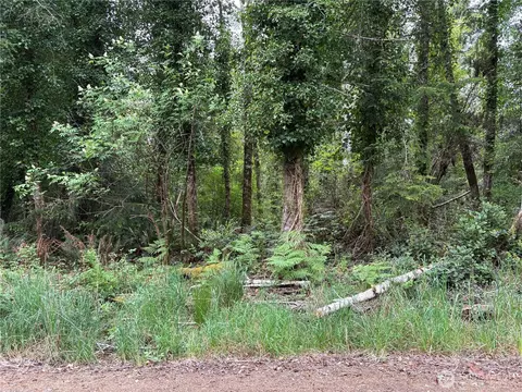 285 Nn Z St, Ocean Park, WA 98640