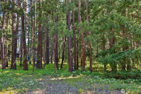 0 S Lot 10 S Lake Cabins Rd, Ronald, WA 98940