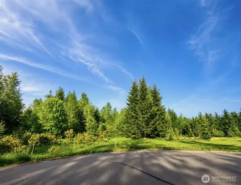 15313 Sunnyside Ln SE, Yelm, WA 98597