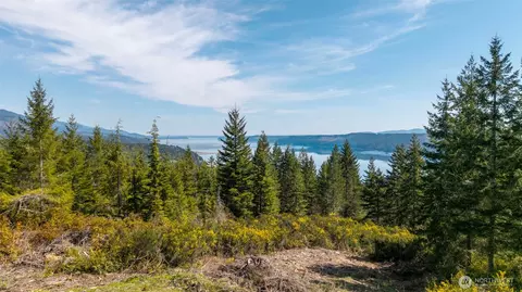 778899 N Hamma Ridge Dr, Lilliwaup, WA 98555