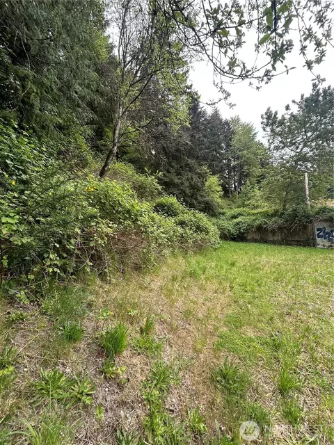 6325 Nn Evergreen Way, Everett, WA 98203 photo 6