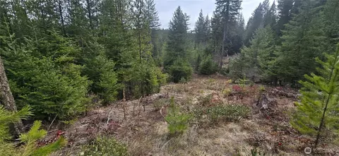 4910 Getna Way Rd, Springdale, WA 99173