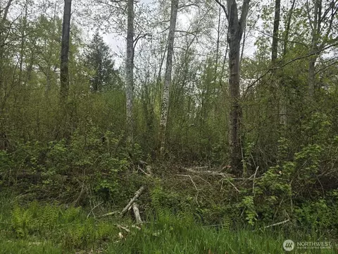 0 Shorewood Ln, Bellingham, WA 98226