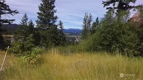 17 Nn Twin Lakes Rd, Cle Elum, WA 98922