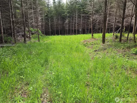 7 Beaver Hill Ln, Montesano, WA 98563