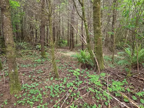 13 Beaver Hill Ln, Montesano, WA 98563