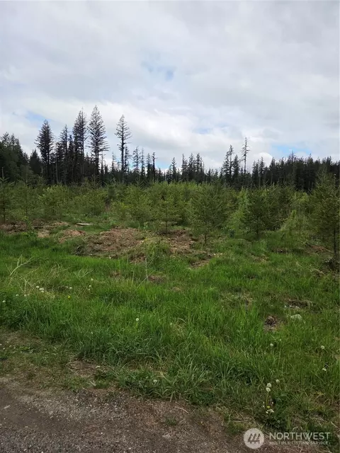0 Windon Ln, Maple Falls, WA 98295