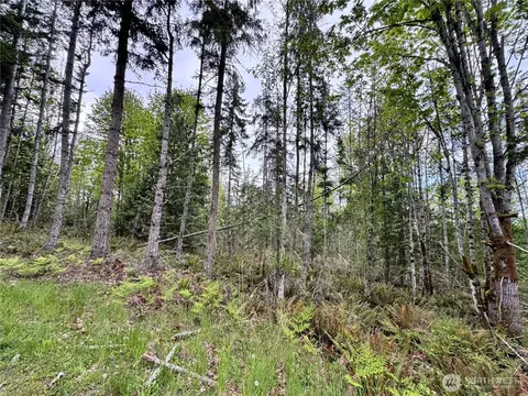 9999 Township Line Rd, Port Angeles, WA 98362
