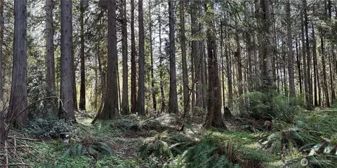 0 NW Lot 31 Nw Lakeness, Poulsbo, WA 98370