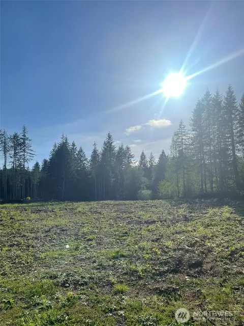 14253 W Cloquallum Rd, Elma, WA 98546
