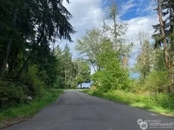 10419 107th Street Ct, Anderson Island, WA 98303