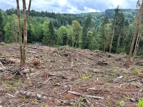 0 S Carpenter Rd, Snohomish, WA 98280