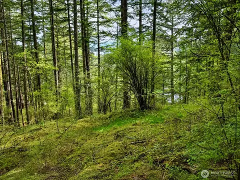 0 Nnn Garden Ln, Orcas Island, WA 98279