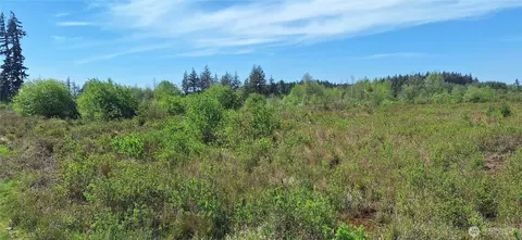 456 Meier Rd, Winlock, WA 98596 photo 9