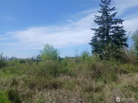 456 Meier Rd, Winlock, WA 98596 photo 2
