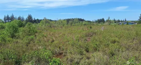 456 Meier Rd, Winlock, WA 98596 photo 4