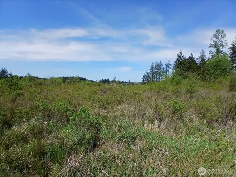 456 Meier Rd, Winlock, WA 98596 photo 3