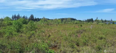 456 Meier Rd, Winlock, WA 98596 photo 8