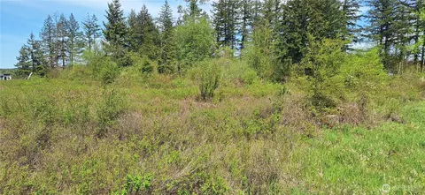 456 Meier Rd, Winlock, WA 98596 photo 6