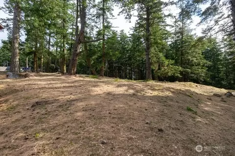 24 Mossyrock Rd, Friday Harbor, WA 98250