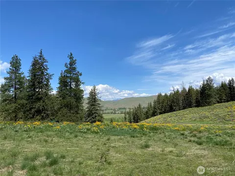 102 Elbow Canyon Rd, Twisp, WA 98856