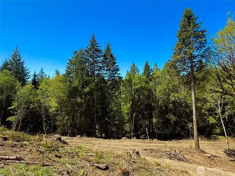 75 E Lakewood Dr, Belfair, WA 98528