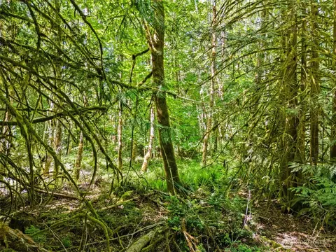 0 E Tr D E Jared Rd, Shelton, WA 98584