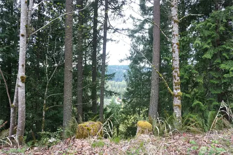 18107 213th Avenue Ct E, Orting, WA 98360 photo 12