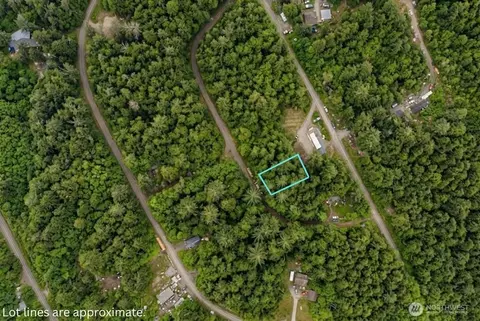 0 Nnn Hummingbird Dr, Taholah, WA 98587