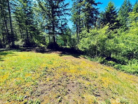 Exterior - 401 E Sunset Ridge Rd, Union, WA 98592 photo 8 of 12