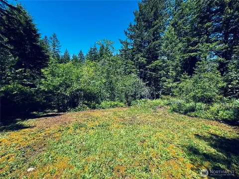 Exterior - 401 E Sunset Ridge Rd, Union, WA 98592 photo 9 of 12