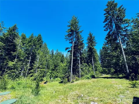 Exterior - 401 E Sunset Ridge Rd, Union, WA 98592 photo 10 of 12