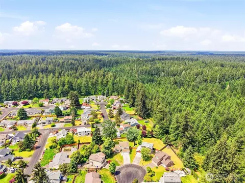 View/Area - 3202 240th Street Ct E, Spanaway, WA 98387 photo 3 of 5