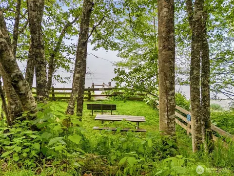 View/Area - 442 Buck Loop Rd, Sequim, WA 98382 photo 2 of 6