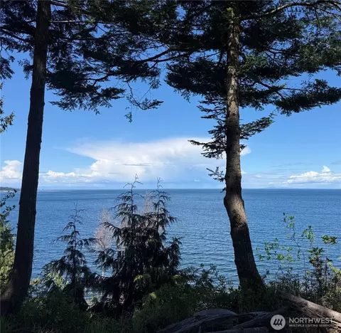 View/Area - 442 Buck Loop Rd, Sequim, WA 98382 photo 4 of 6